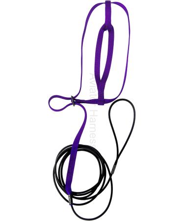 Aviator Bird Harness & Leash Made in America Stylish Purple Shop Internationally! - Buy Online on GoSupps.com