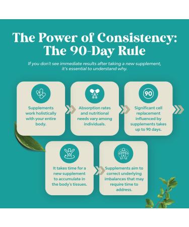 Liver Cleanse Detox & Repair Formula - Herbal Liver Support Supplement with Milk Thistle Turmeric Dandelion Root & Artichoke Extract for Liver Health - Silymarin Milk Thistle Liver Detox Capsules 180 - Buy Online on GoSupps.com