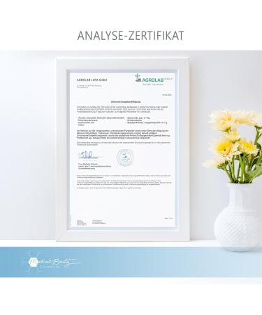 180 Vegan Hyaluronic Acid Capsules 600mg with Zinc Curcumin & Green Tea Extract - Additive-Free Biotin & Selenium - Made in Germany - Buy Online on GoSupps.com