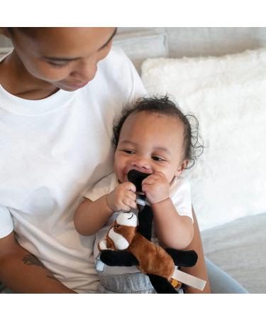 Dr. Brown's HappyPaci Silicone Pacifier & Teether Set with Red Panda Lovey Clip - Buy Online on GoSupps.com