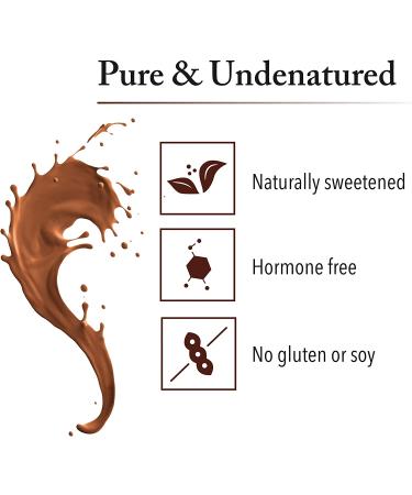 Natural Factors Grass Fed Whey Protein - Double Chocolate 2 lbs | High-Quality Protein Powder - Buy Online on GoSupps.com