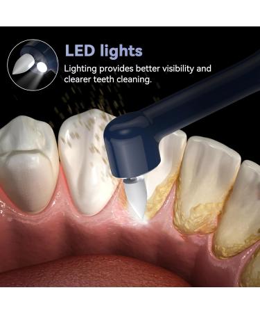 BlueFire Teeth Cleaning Kit for Daily Cleaning Waterproof Teeth Cleaning Tools with 6 Brush Heads 4 Speed Modes and LED Lights Teeth Cleaning Brush for People/Pets(Blue) - Buy Online on GoSupps.com