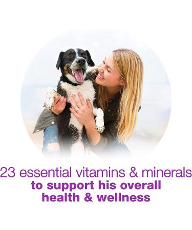 Beneful Purina Wet Dog Food Variety Pack Chicken 10oz (12 Count) - Buy Online on GoSupps.com