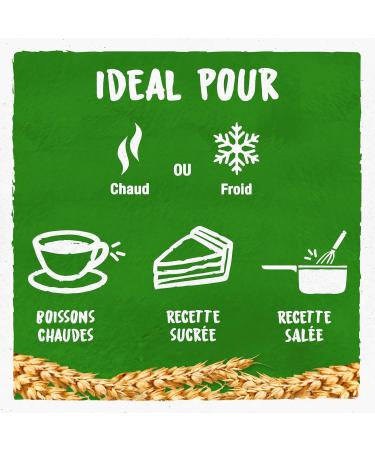 BJORG - Spelt Drink - No added sugars - Organic vegetable drink - Low in Saturated Fats - 1L - Buy Online on GoSupps.com