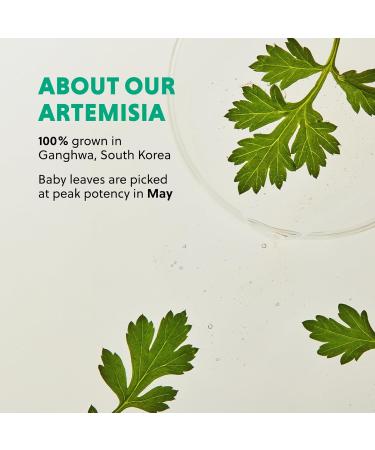 HANYUL Artemisia Soothing Toner Pads with Centella Asiatica and Hyaluronic Acid | Hydrating & Calming Pre-Makeup Facial Pads for Sensitized Skin Dual-Layer Design 60 Count Cozy Green - Buy Online on GoSupps.com