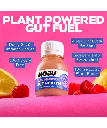 MOJU Gut Health Raspberry Shots - 12x60ml Prebiotic Natural Ingredients Dairy Free No Added Sugars or Sweeteners Vegan Raspberry 12 x 60ml Shots - Buy Online on GoSupps.com