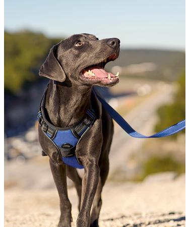 Joytale Dog Harness for Small Dogs - Reflective Soft Padded Adjustable & Breathable with Control Handle - Navy Blue (1 Pack) - Buy Online on GoSupps.com