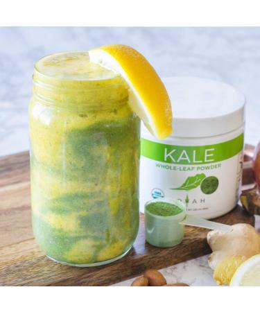 KOYAH Organic USA Kale Powder - Freeze-Dried Whole-Leaf (Equivalent to 30 Cups Fresh) - Buy Online on GoSupps.com