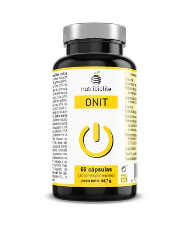 Natural Nootropics - Ginseng Ginkgo Choline Tyrosine Taurine Green Tea Guarana Beetroot Carnitine Theanine Arginine Phosphatidylserine - ONIT Memory Concentration Energy Mental Fatigue