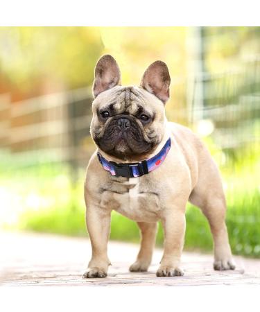 Heele Dog Collar for Small & Medium Dogs - Adjustable Comfortable Robust Patterned Collar in Purple Sunset (40.5-65cm 2.5cm) - Shop Now! - Buy Online on GoSupps.com