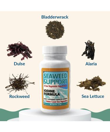 Maine Coast Sea Vegetables Seaweed Support Iodine Formula | Source of Iodine from Seaweed | Daily Use Iodine Supplement | Organic Alaria Rockweed Sea Lettuce Dulse & Bladderwrack blend | 60 Capsule - Buy Online on GoSupps.com