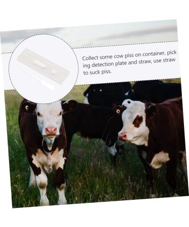 Buy Gleavi 3-Piece Pregnancy Test Strips for Cows & Pigs - Accurate Cattle Pregnancy Testing - White Plastic Test Paper - International Shipping Available - Buy Online on GoSupps.com