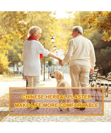 Pain Relief Plasters - Heated Knee Back & Shoulder Pain Relief - 24-Piece Box - Buy Online on GoSupps.com