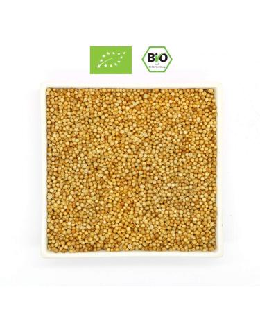 Organic Cumin & Coriander Set 175g | Certified Indian Spices DE- KO-039 | Premium Kitchen & Tea Seasoning - Buy Online on GoSupps.com