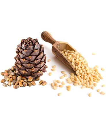 Buy Organic Cedar Nuts 1Kg - Raw Food Quality from Altai Mountains | Vegaya - Buy Online on GoSupps.com