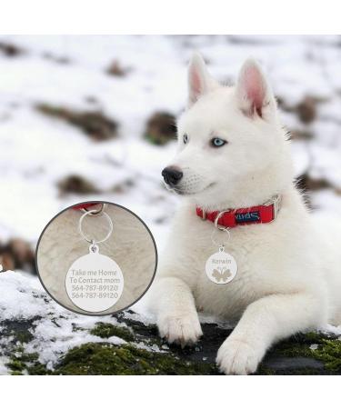 Personalized Stainless Steel Dog Tags - Custom Engraved for Dogs & Cats - Unique Shapes & Designs - Buy Online on GoSupps.com