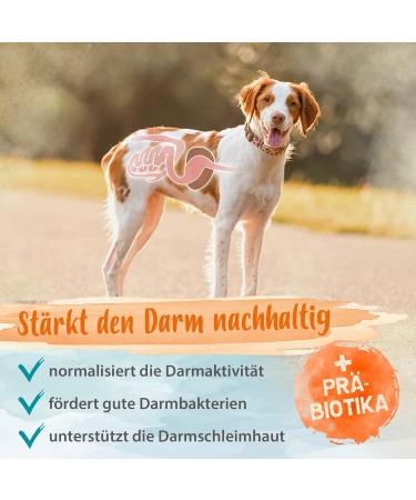 Ida Plus Heilmoor & Beer Yeast for Optimal Digestion in Dogs & Cats - Improve Intestinal Flora - B Vitamins - Available in 1000g & 200g - Buy Online on GoSupps.com