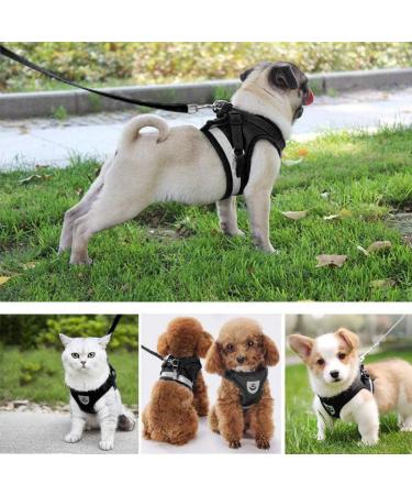Buy Bojly Cat Dishes with Leash | Outbreak-Proof Safety Harness & Anti-Lost Bell for Dogs & Cats - Buy Online on GoSupps.com