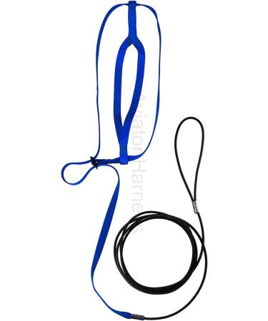 The AVIATOR Bird Harness & Leash - Made in America | XL Blue for Safe & Stylish Adventures - Shop Internationally! - Buy Online on GoSupps.com