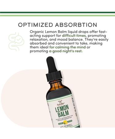 Double Wood Supplements Organic Lemon Balm Tincture - for Digestion & Relaxation 590mg - 2FL OZ 120 Servings (Better Absorbed Than Capsules Great for Lemon Balm Tea) - Buy Online on GoSupps.com