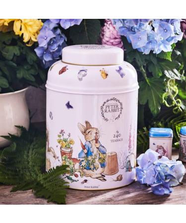 New English Teas Beatrix Potter Tea Caddy with 240 English Breakfast Teabags - Buy Online on GoSupps.com