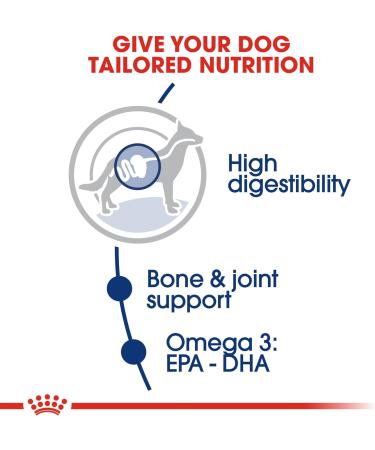 ROYAL CANIN 4kg Maxi Adult Dry Dog Food - Buy Online on GoSupps.com