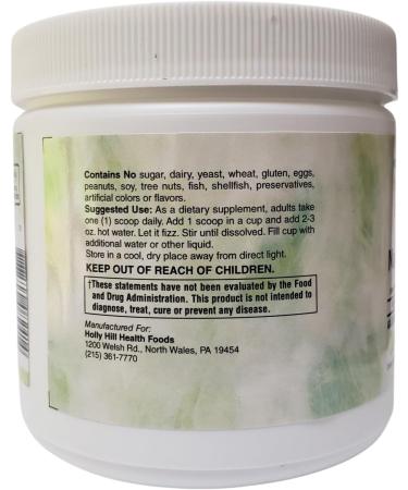 Holly Hill Health Foods Whole Food Magnesium Powder 9.13 Ounces - Buy Online on GoSupps.com