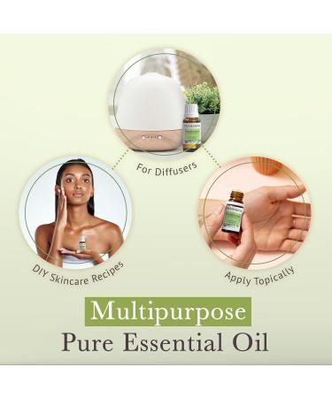 Pranarom USDA Certified Organic Frankincense Essential Oil (15ml) 100% Pure Undiluted Therapeutic Grade from Somalia for Aromatherapy Diffuser Skincare Relaxation Meditation 0.5 Fl Oz (Pack of 1) - Buy Online on GoSupps.com