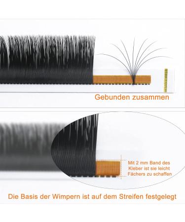 Shop C D Curl Easy Fan Lashes | 0.03 0.07 0.10 Volume Technology | 1 Tray C-0.05 | International Shipping - Buy Online on GoSupps.com