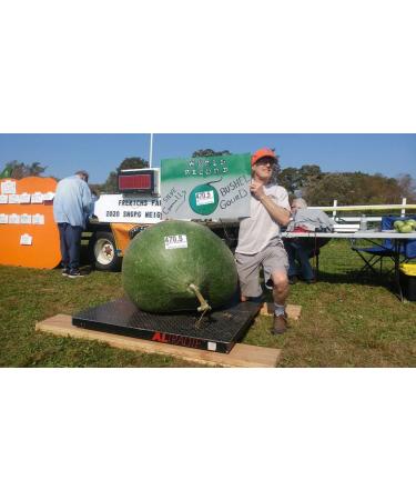 Wallace Organic Wonder Soluble Seaweed Powder Organic Fertilizer (5 Pounds) - Buy Online on GoSupps.com