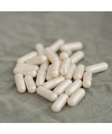 High Dose Apple Cider Vinegar 180 Capsules | 1000mg Daily | Vegan & Lab Tested | 3-Month Supply - Buy Online on GoSupps.com