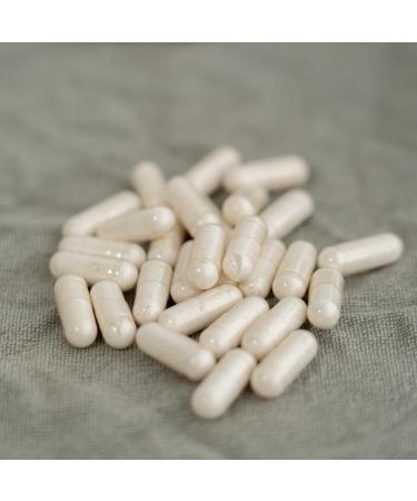 High-Dose Apple Cider Vinegar Capsules | 1000mg Daily | Vegan | 180 Capsules - 3 Months Supply | Lab Tested - Buy Online on GoSupps.com