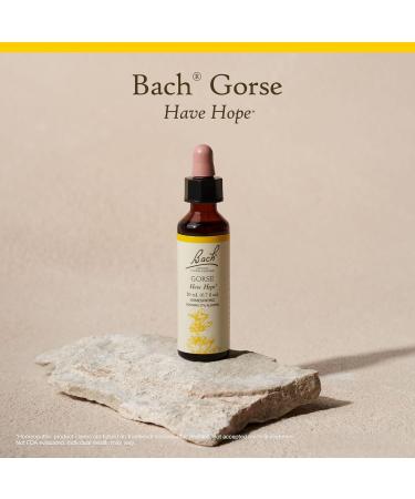 Bach Original Flower Remedies Gorse - Have Hope - Natural Homeopathic Flower Essence for Emotional Balance - Vegan Gluten Free Sugar Free - 20mL Dropper - Buy Online on GoSupps.com