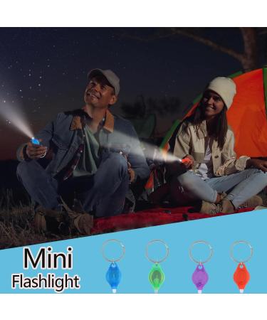 Buy MODOAO Mini LED UV Keychain Black Light Flashlight - 4 Pack UV Urine Detector for Dogs | International Shipping Available - Buy Online on GoSupps.com