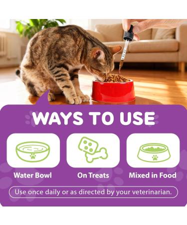 NBTREKTIE Lysine for Cats - L-Lysine Supplement for Eye Function & Respiratory Health Lysine for Sneezing Runny Nose Immune Support - Chicken Flavor - Buy Online on GoSupps.com