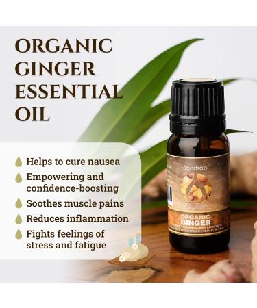 Organic Ginger Essential Oil 10ml by Ecodrop - Therapeutic Grade, Cosmos Certified, Pure Ginger Root Oil for Aromatherapy with Free E-Book - Buy Online on GoSupps.com