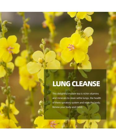 RASPIO Mullein Leaf Tea Natural Herbal Tea Mullein Tea Bags for Cleansing the Lungs Supporting the Respiratory Tracts and Mucous Membranes Sugar Free Green - Buy Online on GoSupps.com