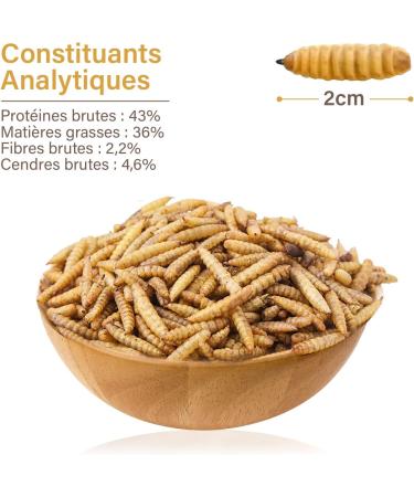 Black Soldier Fly Larva 800g ( 5 liters) PREMIUM QUALITY Black Soldier Fly Treat for Birds Hedgehogs Turtles Reptiles Fish Rodents 100% Natural no additives (800g Soldier Fly) - Buy Online on GoSupps.com
