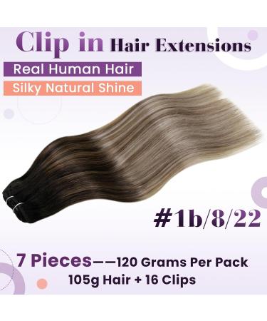 LAAVOO Ombre Clip-in Hair Extensions - Remy Human Hair 40cm 7PCs #1B/8/22 - Brown to Blond - International Shipping Available - Buy Online on GoSupps.com