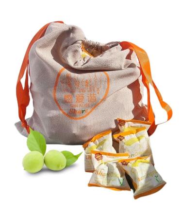 Share Prunes ferment es originales dans un sac cologique de 500 g (30 pi ces) - Prune verte ferment e 500 g - Les prunes vertes/abricots japonais sont v g taliens sans lactose