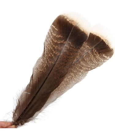 THARAHT 24pcs Natural Wild Turkey Tails Feathers Quill Bulk 6-8inch for DIY Crafts & Wedding Decor - Buy Online on GoSupps.com