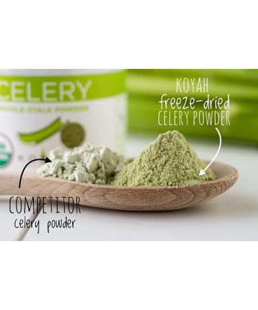 KOYAH Organic USA Grown Celery Powder - 30 Servings, Freeze-dried Whole-Stalk Powder - Buy Online on GoSupps.com