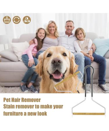 Molain Pet Hair Remover | Cat & Dog Hair Remover for Furniture | Effective & Easy to Use (Black+Red) - Buy Online on GoSupps.com