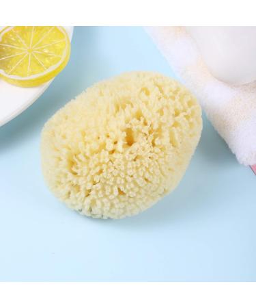 Large Greek Mediterranean Natural Sea Sponge - 5 Inches Plus | Bath Tools for Soft and Smooth Skin - Buy Online on GoSupps.com