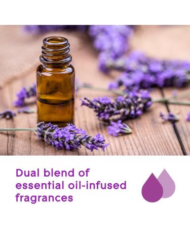 Glade Essential Oil Diffuser Refill Use with Cool Mist Aromatherapy Diffuser Air Freshener for Home Choose Calm Scent with Notes of Lavender & Sandalwood 1 Count - Buy Online on GoSupps.com