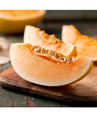 Mathieu Teisseire - Fruits du soleil assortment: Melon syrup watermelon syrup cucumber syrup for refreshing drinks 3x70cl - Buy Online on GoSupps.com