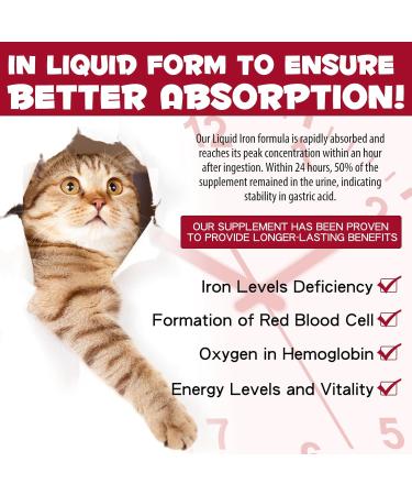 Liquid Iron for Cats Liquid Iron Drops for Cats Supports Anemia Low Enery Levels and Lethargy Cats- Improve Energy Levels & Vitality Pet Supplies Cat Vitamin Supplement Caramel Flavor - 2 fl.oz - Buy Online on GoSupps.com