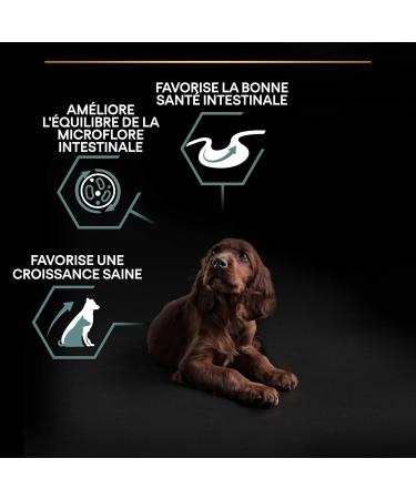 PURINA PRO PLAN | Large Athletic Puppy 2 Sensitive Digestion | Rich in Lamb | Dry Food | Puppy | 12kg Bag - Buy Online on GoSupps.com