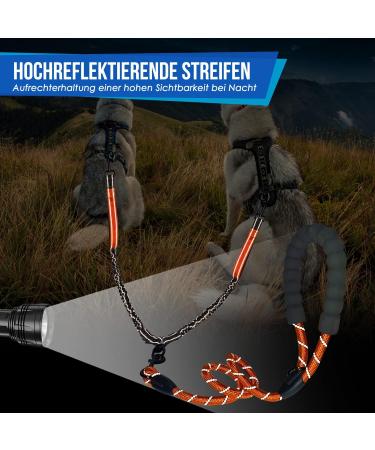 Slowton Double Linen Reflective Dog Leash for 2 Dogs | 360 Rotatable | Shock-Damping & Padded Handles for Small to Medium Dogs (3-16kg) - Orange - Buy Online on GoSupps.com