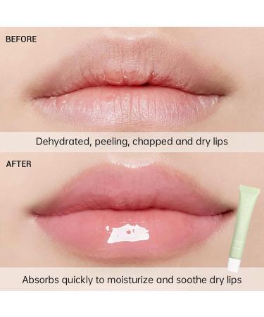 Lip Butter Balm Kit Hydrating & Nourishing Tinted Lip Balm with Shea Butter & Avocado Oil Lightweight Non-Sticky Glossy Lip Care for Soft & Smooth Lips - Buy Online on GoSupps.com